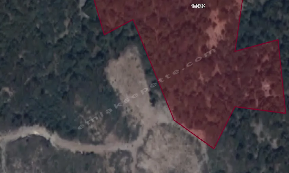 ÇİFTLİK KURMAYA ELVERİŞLİ ORMANLARA KOMŞU VİLLALIK ARAZİ
